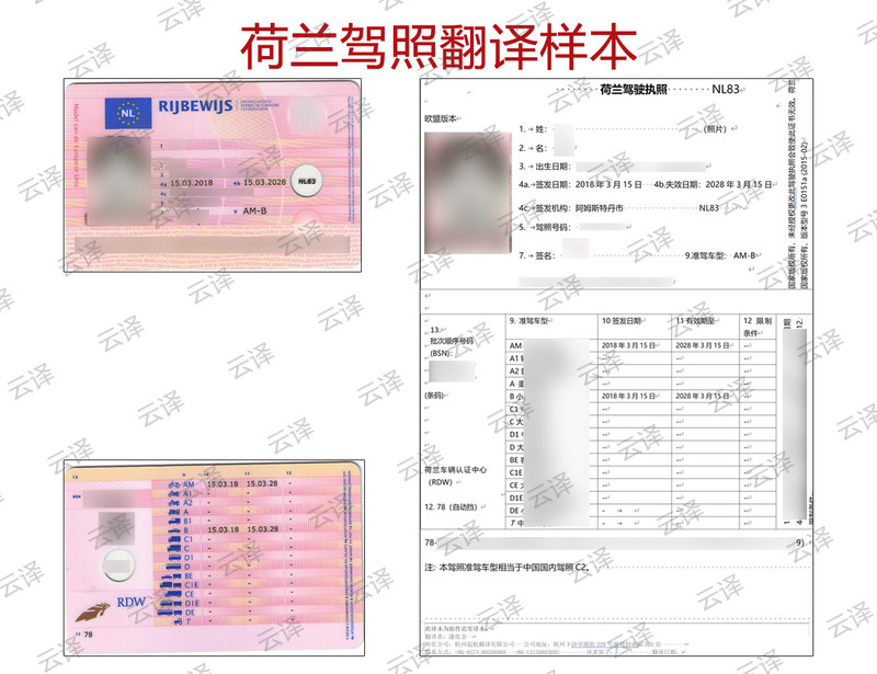 荷兰驾照翻译样本.jpg