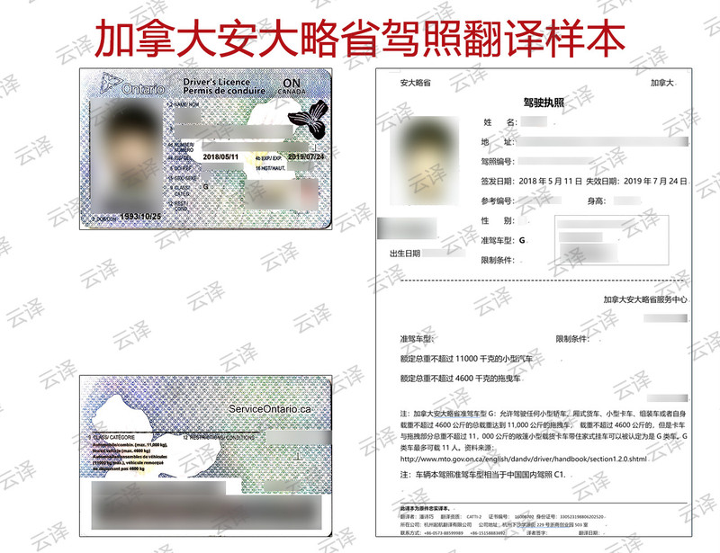 加拿大安大略省驾照翻译样本.jpg