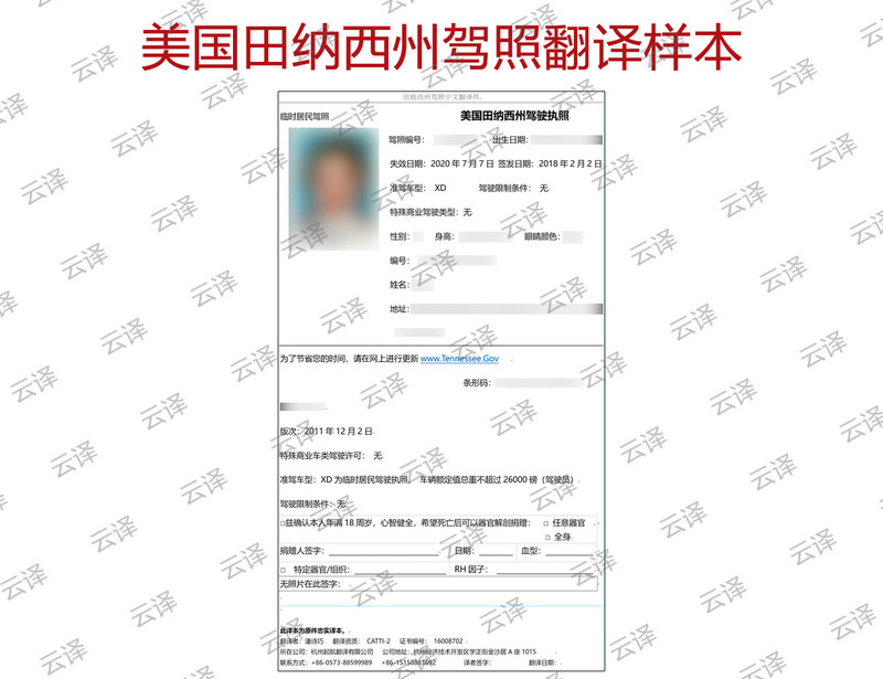 美国田纳西州驾照翻译样本.jpg